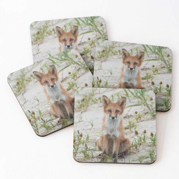 Aperçu de l'œuvre Mignon petit renard russe créée et vendue par rainbowcho.
