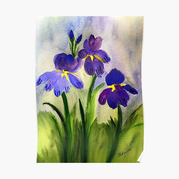Iris Poster