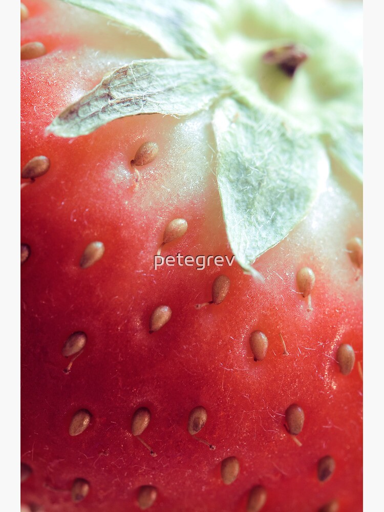 Day 312 - 17th May 2012 by petegrev