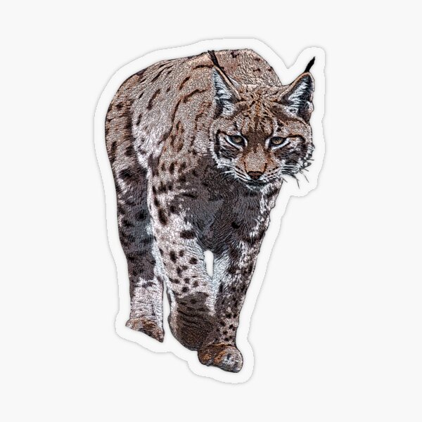 tanks the modern age lynx decal sheet