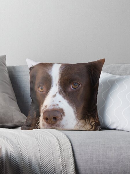 Item preview, Brown and White Springer Spaniel Portrait designed and sold by Rob Cole.