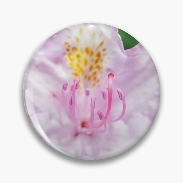Item preview, Rhododendron Macro, Glamis Castle Gardens, Scotland, UK designed and sold by Yannik Hay.