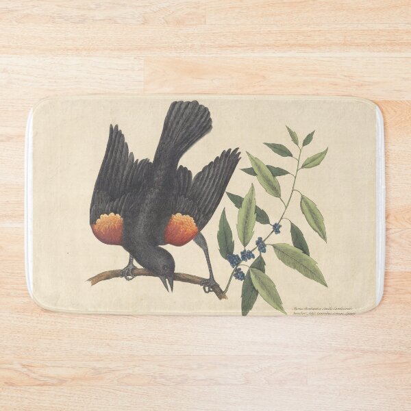 Item preview, The Red-Winged Starling Vintage Bird Print by Mark Catesby, 18th Century designed and sold by Vintage Wall Art.