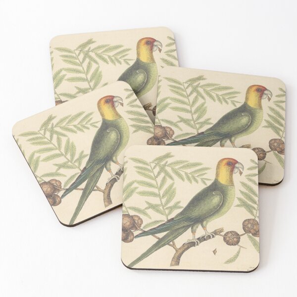 Item preview, The Parrot of Carolina Vintage Bird Print, Mark Catesby, 18th Century designed and sold by Vintage Wall Art.