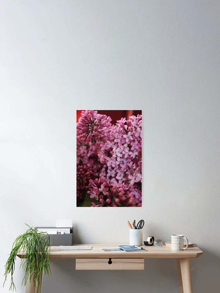 Thumbnail 2 of 3, Poster, Spring Flowers designed and sold by Rebecca Wilcox.