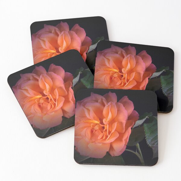 Item preview, Rose beauty designed and sold by gelibolu.