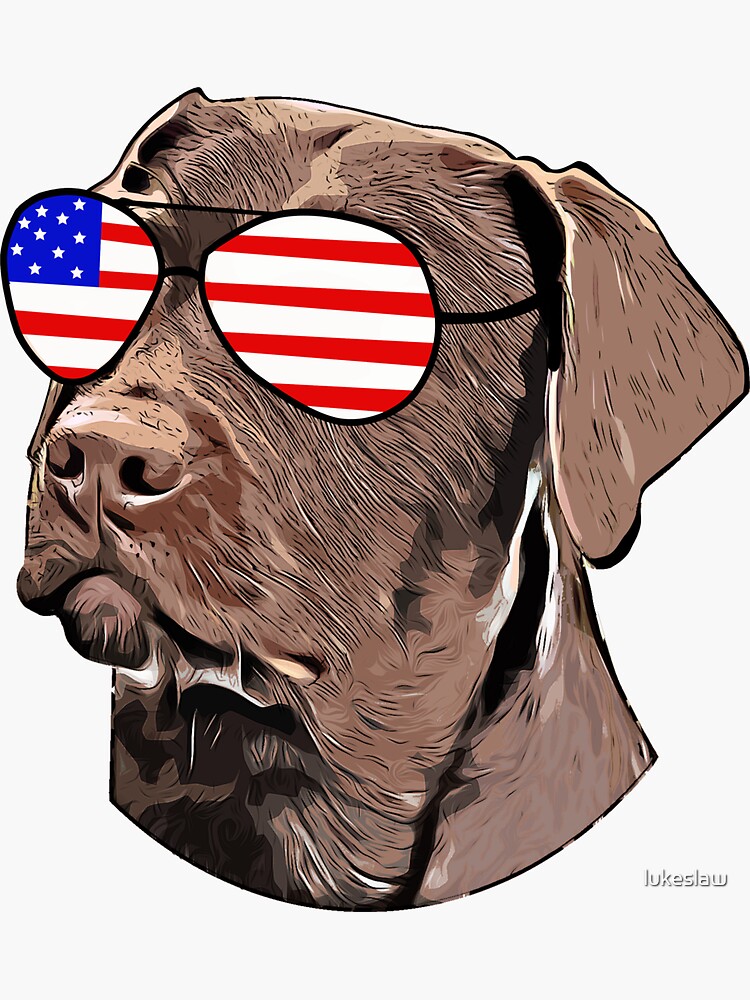 "Funny Chocolate Lab Gifts American Flag Sunglasses Dog Lover Gift 4th