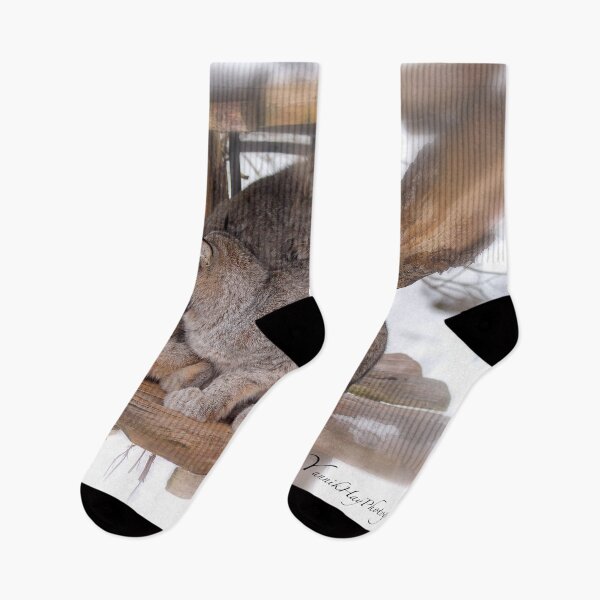 Item preview, Canada Lynx designed and sold by Yannik Hay.