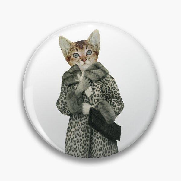 Pin on Cat & Kittens wearing clothes