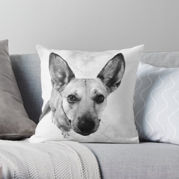 Carolina Dog Gray Pup - American Dingo Throw Pillow