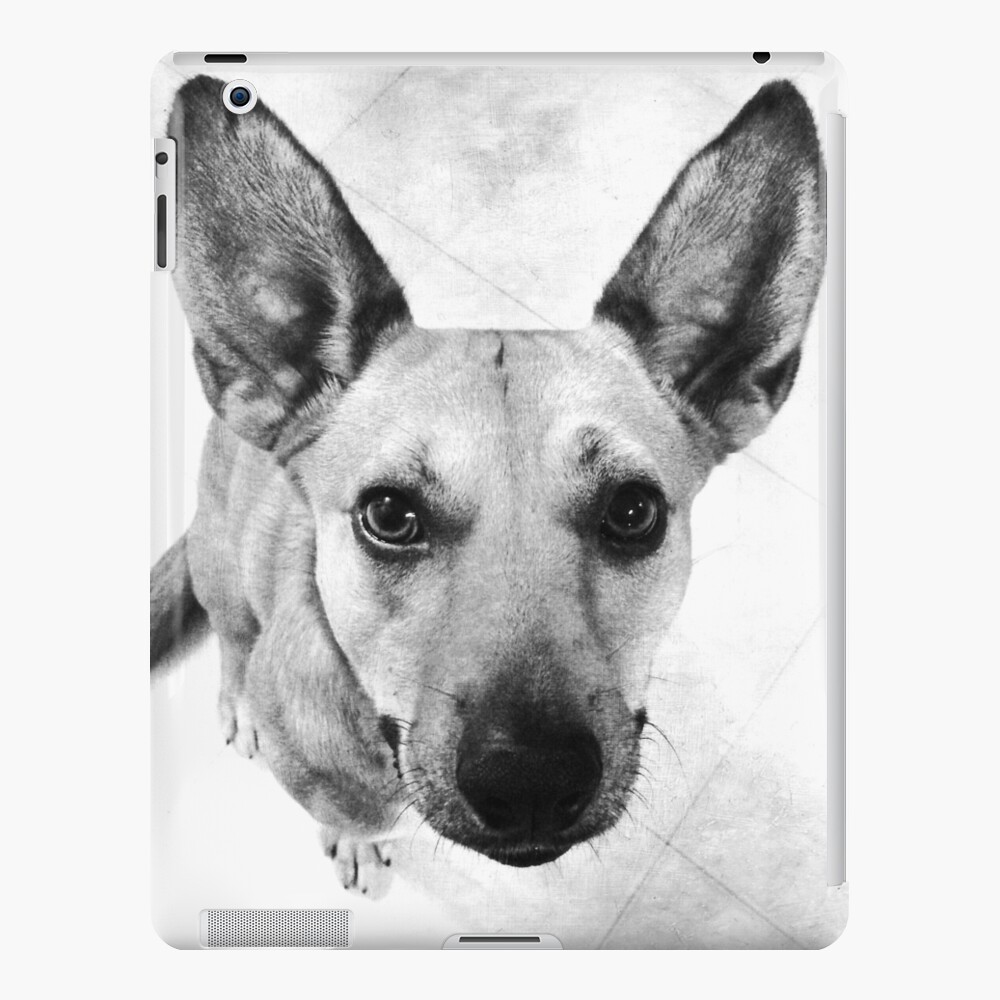Carolina Dog Gray Pup - American Dingo iPad Case & Skin