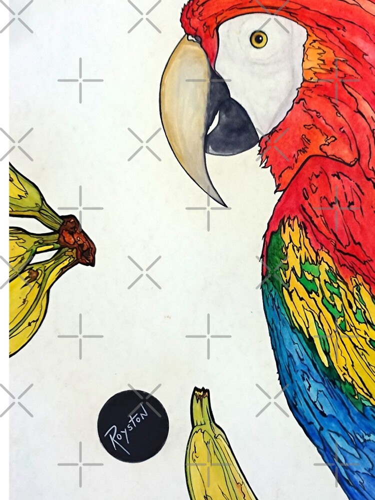 Scarlet Macaw Coloring Page with Fun Fact {FREE Printable Download!} – The  Art Kit