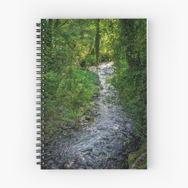 Item preview, Babbling Brook designed and sold by MLP Fine Art.