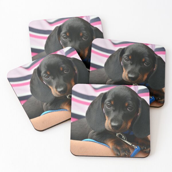 Item preview, chio designed and sold by Fijidiha.