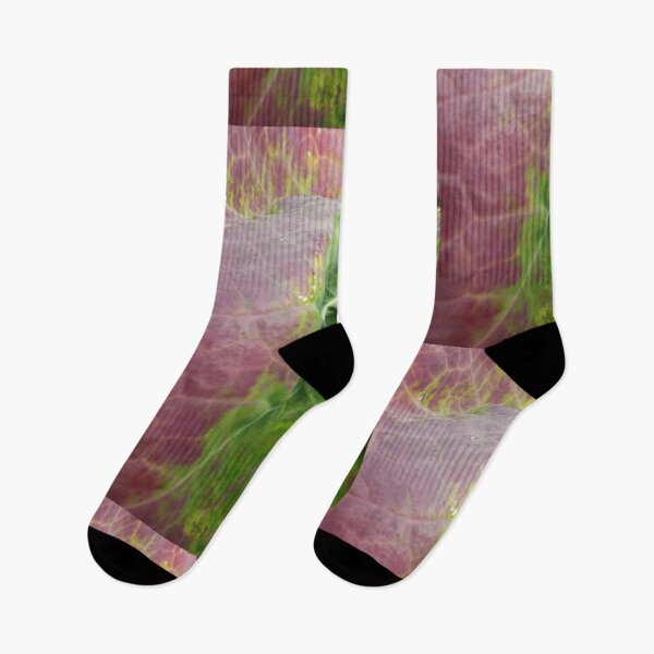 Item preview, Brassica Up Close designed and sold by MeyrellesMartin.