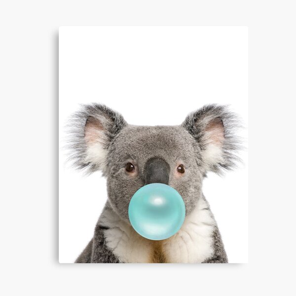 Koala Bubblegum Art Cute Nursery Lienzo