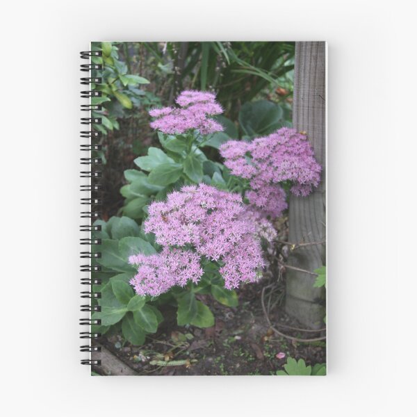 Item preview, Corner Of The Garden designed and sold by coffeebean.