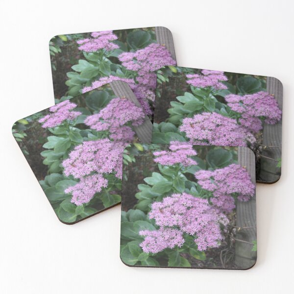 Item preview, Corner Of The Garden designed and sold by coffeebean.