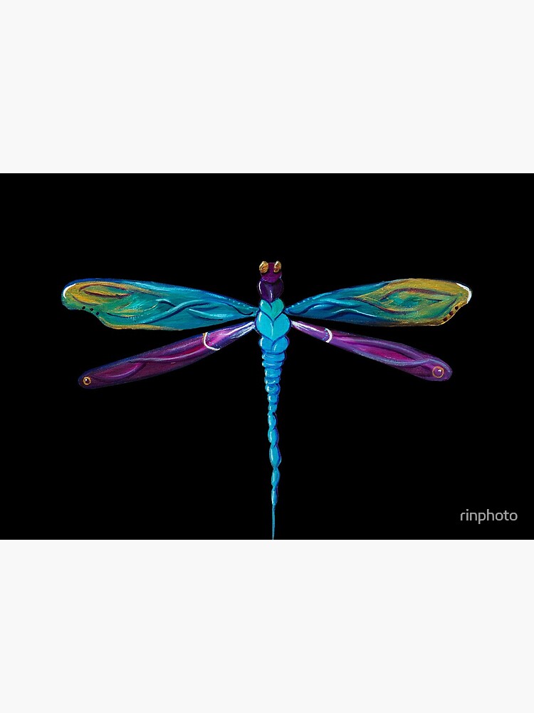 Painted Dragonfly by rinphoto