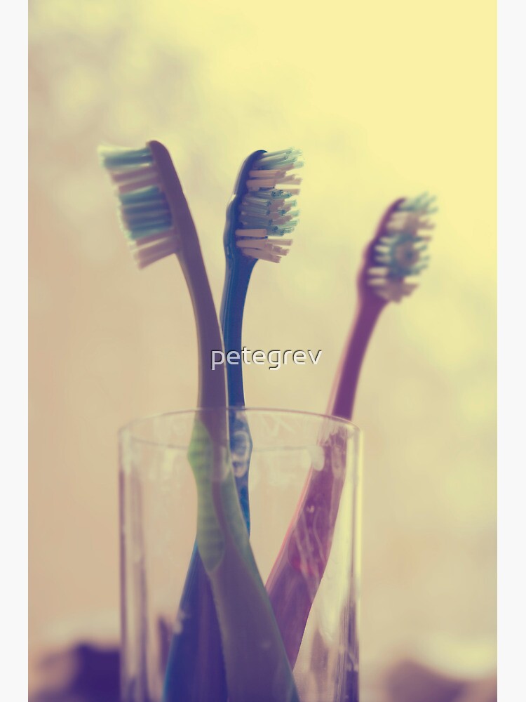Day 313 - 18th May 2012 by petegrev