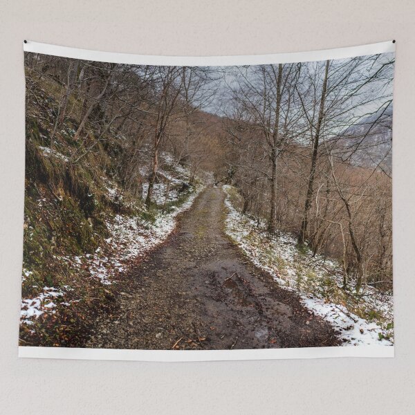 Item preview, Snowy path in a forest designed and sold by MarioGuti.