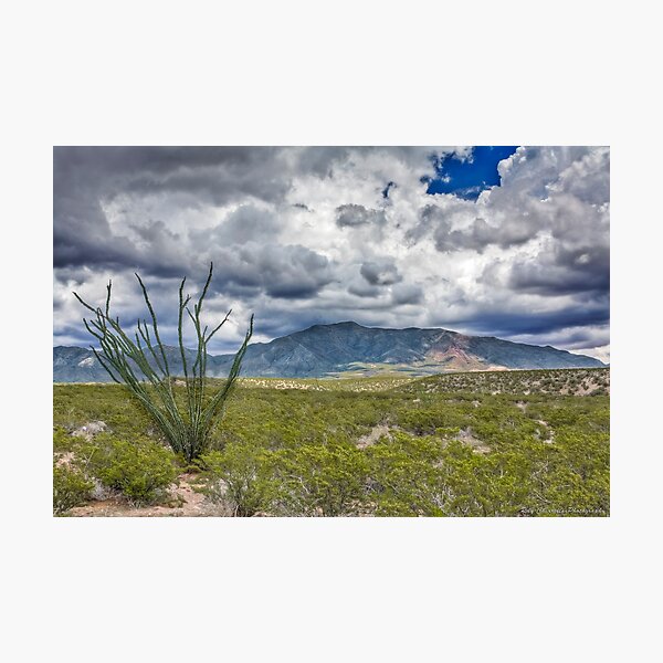 North Franklin Mountain Photographic Print