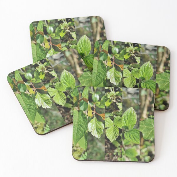 Item preview, Nature 010 designed and sold by PredWilM.