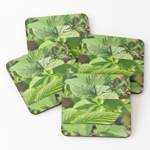 Item preview, Naturaleza 011 designed and sold by PredWilM.