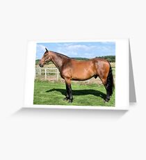 Norman Greeting Card