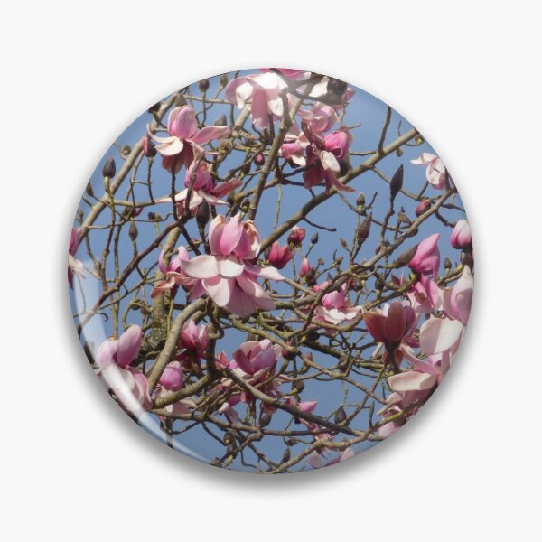 Artikelvorschau, Magnolienblüte im Frühling entworfen und verkauft von Bluelizzy.