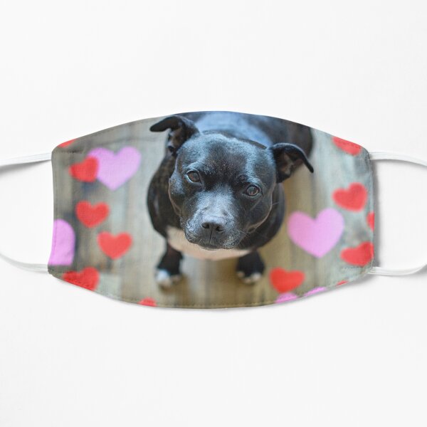 Staffy Love Flat Mask