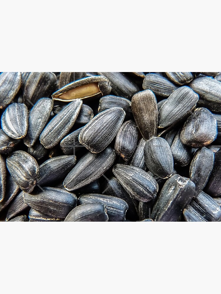 "Sunflower Seeds Funny Ukrainian Food Gift" Poster by rsilver Redbubble