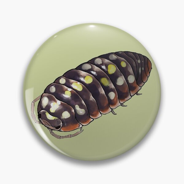 Item preview, Armadillidium klugii "montenegro" Isopod designed and sold by Morgan Carpenter.
