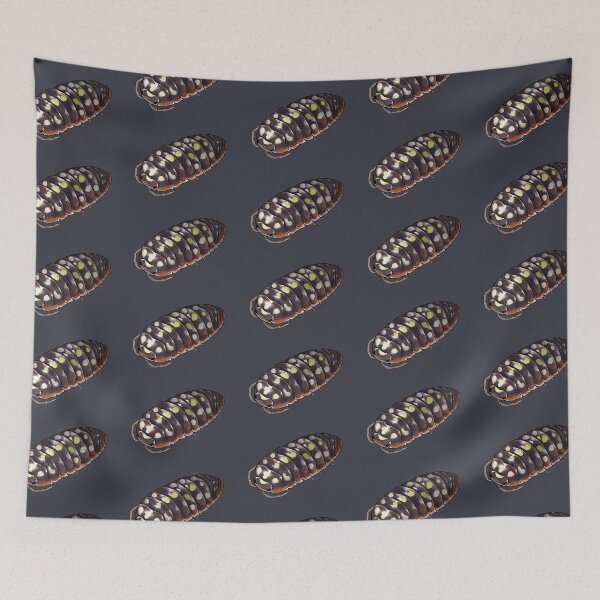 Item preview, Armadillidium klugii "montenegro" Isopod designed and sold by Morgan Carpenter.