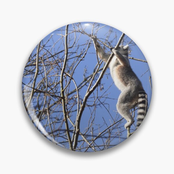 Item preview, Ring tailed lemur high in the branches designed and sold by Bluelizzy.