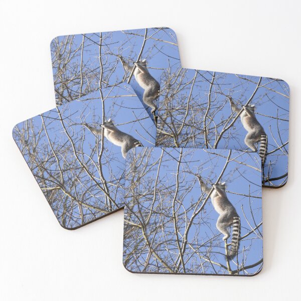 Item preview, Ring tailed lemur high in the branches designed and sold by Bluelizzy.