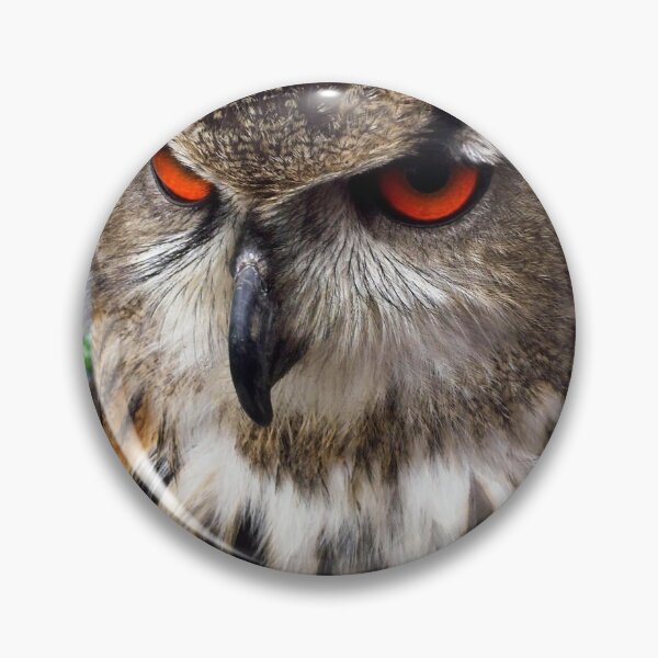Item preview, Wise owl designed and sold by snaphappy1.