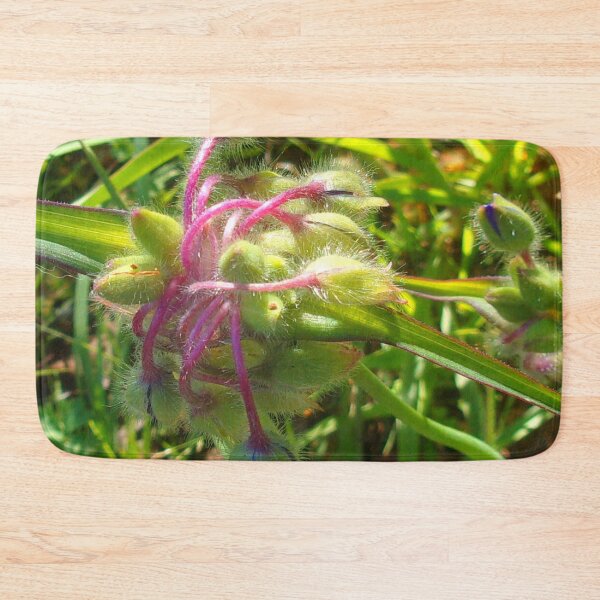 Item preview, Feed Me - Audrey Junior v.4 designed and sold by Mark Polk.