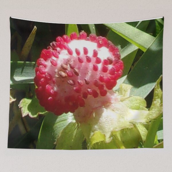 Item preview, My Strawberry Resolution designed and sold by Mark Polk.