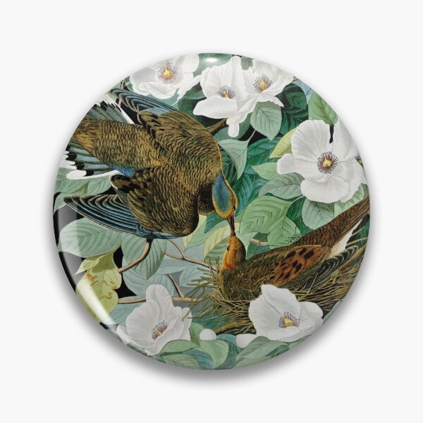Item preview, Carolina Turtle Dove,  Birds of America by John James Audubon designed and sold by VintageArchive.