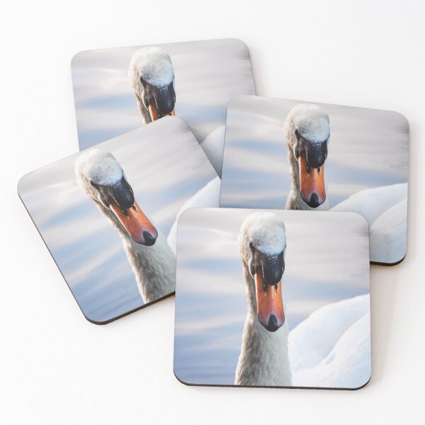 Item preview, Male Mute Swan designed and sold by InterestingImag.