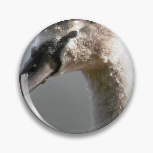 Item preview, Signet in lake designed and sold by snaphappy1.