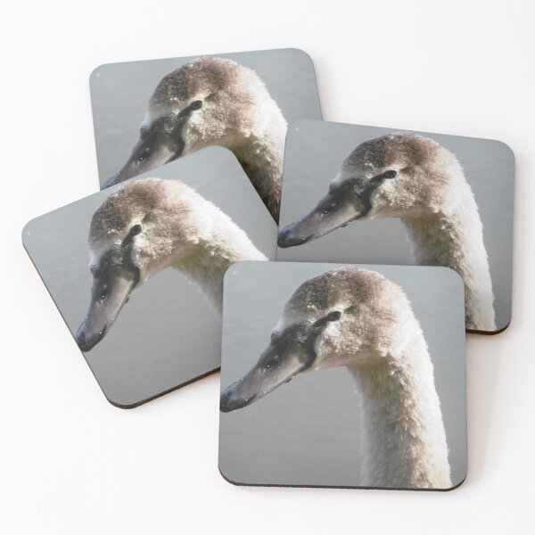 Item preview, Signet in lake designed and sold by snaphappy1.