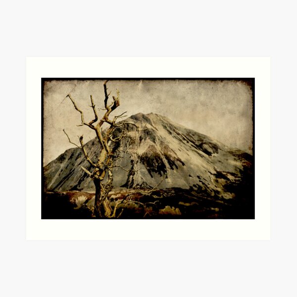 The Oratory Art Print