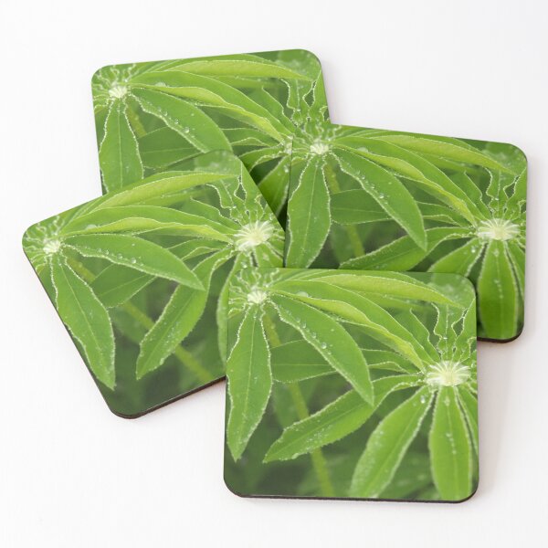 Item preview, Lupin leaves in the rain designed and sold by Latch Farm  Studios.