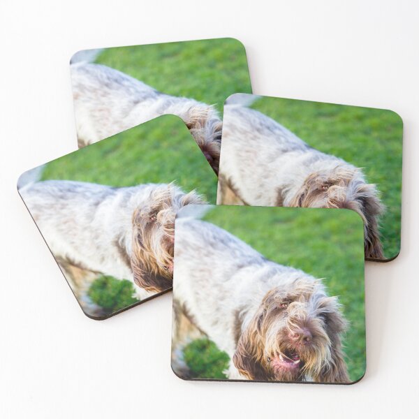 Item preview, Chatty Spinone designed and sold by FOLK ART FUSION by heidiannemorris.
