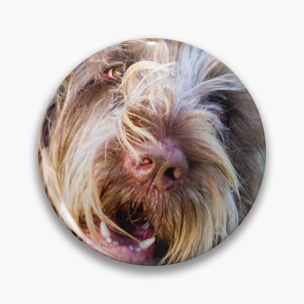 Item preview, Chatty Spinone designed and sold by FOLK ART FUSION by heidiannemorris.