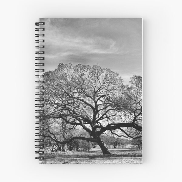 Item preview, Rest Stop designed and sold by Deborah Downes.
