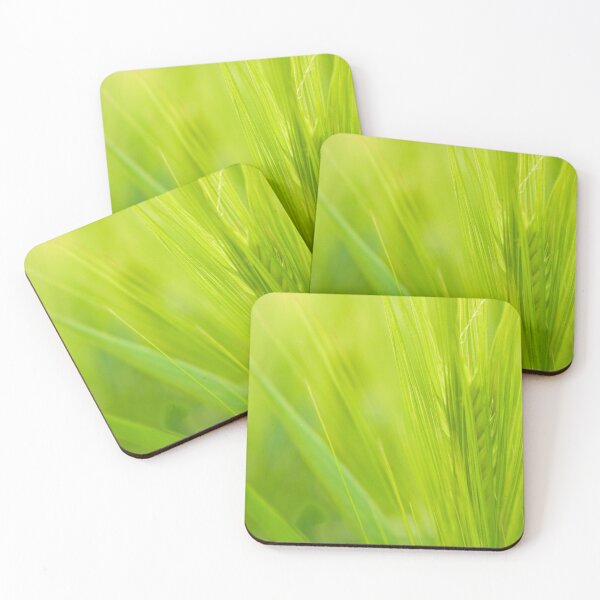 Item preview, Field of barley, natural green in nature designed and sold by Latch Farm  Studios.