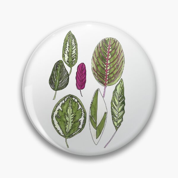 Item preview, Calathea Plant Leaves designed and sold by jenbucheli.